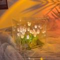 Transparent Packaging Tulip Night Light Compact Size Versatile Decor Handcrafted Handmade LED Light DIY Kit LED-illuminated Flower Knows Box for Living Room  Creative Gift Home Atmosphere Night-. 