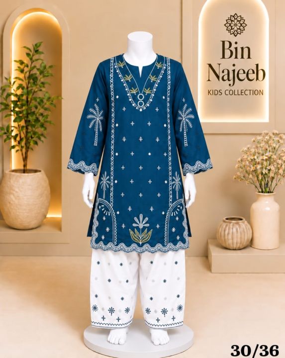 Bin%20Najeeb%20Kids%20Embroidered%202%20Piece%20Suit%20Embroidered%20Kurti%20&%20Trouser%20-%20Image%203