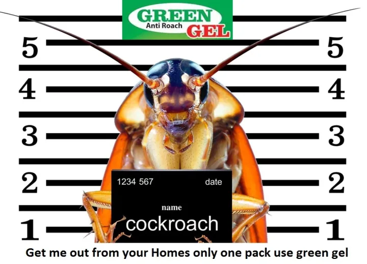 Green%20Gel%20Kills%20Cockroaches%20&%20Long%20time%20Protection%20By%20MCI%20-%20Image%203