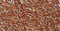 Flex Seeds | Alsi Seeds Organic Pack | Flexseeds | Flax Seed | Flaxseeds | Alsi k Beej / ke Seeds 50 Grams. 