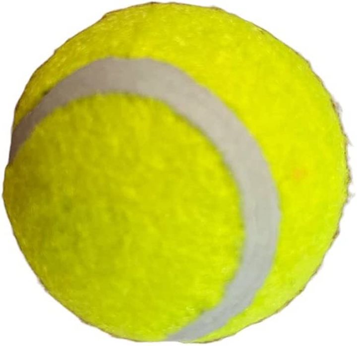 Pack%20of%204%20Light%20Green%20Tennis%20Ball%20/%20Soft%20Rubber%20Ball%20for%20Play%20Cricket%20-%20Image%206