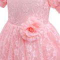 Toddler Girls Lace Princess Dress, Sleeveless Round Neck 3D Flower Formal Dress Party Gown. 