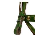 Neza Bazi Horse Riding Leather Special Bridle + Reins ( Adjustable ). 