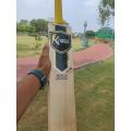 KNOCK GOLD EDITION BAT | HAR BALL BAT | ENGLISH WILLOW BAT | TOP PING | EXCELLENT BALANCE |. 