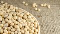 Hunza Organic Soybeans. 