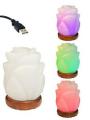 Salt Lamps USB. 