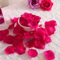 100 pieces of rose petals wedding flower decoration. 
