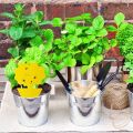 20Pcs Sticky Trap,Fruit Fly and Gnat Trap Yellow Sticky Bug Traps for Indoor/Outdoor Use Insect Catcher for White Flies. 