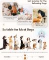 Queenmew. Anti Barking Device, Dog Barking Control Devices Utrasonic Dog Barking Deterrent 15M Range for Indoor & Outdoor Use Safe for Dogs Human. 
