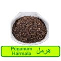 Harmal | Peganum harmala |  500 Grams. 