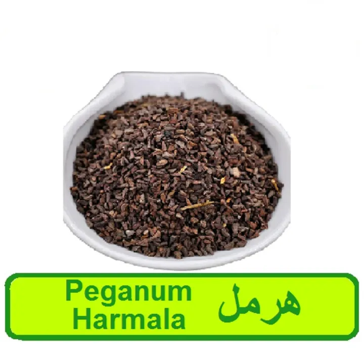 Harmal%20%7C%20Peganum%20harmala%20%7C%20%20500%20Grams%20-%20Image%202