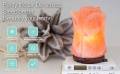 250 million year old salt from the Himalayan Mountains d'aplomb 100% Authentic Natural Himalayan Salt Lamp Hand Carved Flower Rose Pink Crystal Rock Salt. 