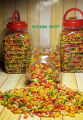 Color Full Macaroni Elbow Macaroni For Pasta (1 Kg ) With Jar (FREE) Fancy Macaroni Big Elbow Pasta Multi Colour Pasta In Premium Quality. 
