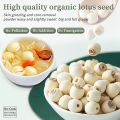 Premium Dried Lotus Seeds 100g White Lotus Seed, Dried Coreless Lotus Seeds, Cooking Porridge and Soup Raw Materials. 