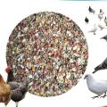 Hen Feed For Pigeon - 5 KG. 