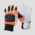 Glove - Indoor Cricket Batting Gloves And Winter Use. 