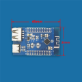 Bluetooth 5.3 RF2.4G Microcontroller Multifunction Portable Low Power Bluetooth Dual USB RISC-V Module. 