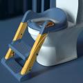Fancy Foldable Potty Training Seat with Step Stool Ladder, Toilet Trainer, Potty Seat. 