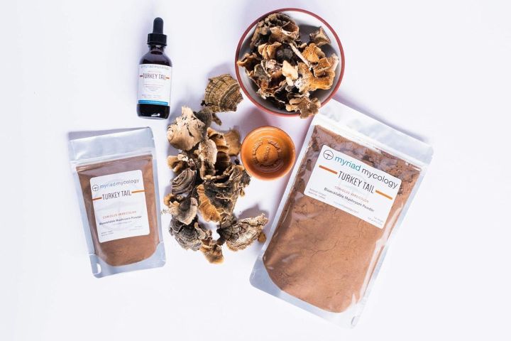 Myriad%20Mycology%20Turkey%20Tail%20Mushroom%20Powder%205.2oz%20or%20150g,%20Made%20in%20USA%20/%20Yun%20Zhi%20-%20Image%203