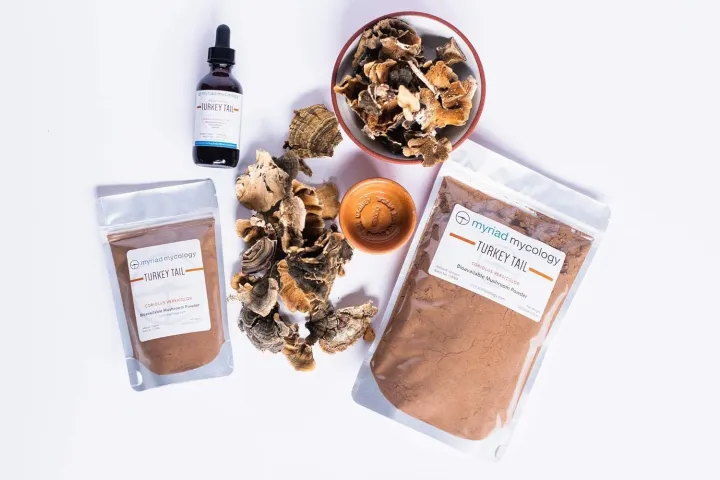 Myriad%20Mycology%20Turkey%20Tail%20Mushroom%20Powder%205.2oz%20or%20150g,%20Made%20in%20USA%20/%20Yun%20Zhi%20-%20Image%203