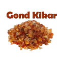 Babool Gum | Gond Keekar | Gond Kikar | 1 KG. 