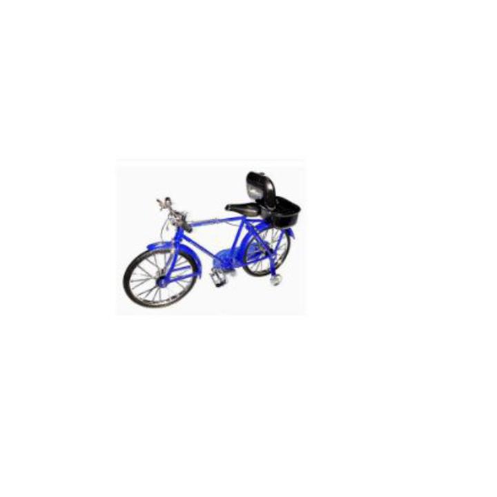 Miniature bicycle toy hotsell