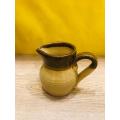 Alluring Ceramic Milk Pot. 