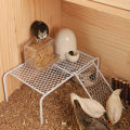 Grid Shelves Hollow Design Rutin Chicken Cage Stand Platforms with Climbing Ladder. 