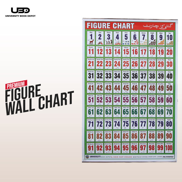 Counting 1 to 100 with English & Urdu Names Wall poster | Counting Wall Chart for Classrooms | Bright Colors Display on 200 grams Laminated Card 20*30 inches