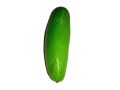 1 Piece - Artificial 6.5 inch Cucumber Vegetable - Decorative Styrofoam Cucumber - Crafted Thermacol Cucumber (Artificial Vegetables). 