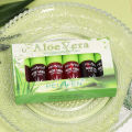 Cross-border Penny Fin, aloe vera, lipstick, lip gloss, non-fading, lip tinting, lip gloss, moisturizing lipstick, water Europe and America. 