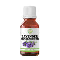 Herbology Lavender Water Soluble Fragrance oil for Diffuser - Lavender Fragrance Oil Humidifier Fragrance for Living Room, Car, and Office Spaces - Air Freshener. 
