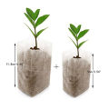 100Pcs Nursery Bag Good Nutrient Absorb Ability Permeability Non-woven Plants Grow Pouch for Home. 