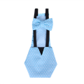 Chicken Diapers Bantam Hens - Reusable 3 Pcs with Bow Ties Poultry Nappies Washable Waterproof for Pets Ducks Silkie Easy to Use L. 