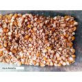Birds feed 1kg /1000g Add up for soft food used for birds like cocktail cockatoo Alexandrine parakeet, RAW, Pahari Totta Larges Parrots, Suitable for African Grey Parrot, Macaw, lovebirds, Australian parrots, raw, ring neck and Other similar birds. 