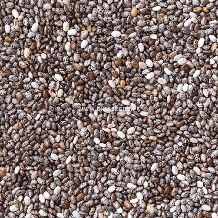 Premium%20Organic%20Chia%20Seeds%2050g%20%E2%80%93%20High%20Fiber,%20Omega-3%20&%20Protein%20%E2%80%93%20Superfood%20for%20Weight%20Loss%20&%20Energy%20Boost%20-%20Image%202