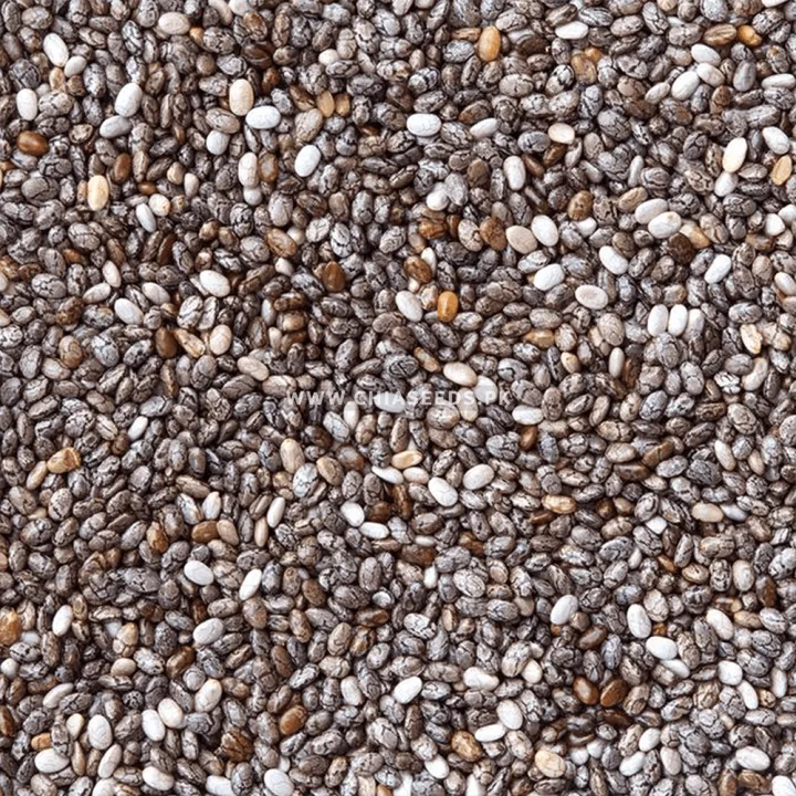 Organic%20Chia%20Seeds%20For%20Weight%20Loss%2050%20gm%20/%20Imported%20Chia%20Seeds%20Rich%20In%20Vitamins%20Omega%20&%20Calcium%20For%20Health%20And%20Beauty%20-%20Image%203