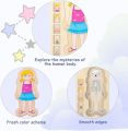 WOODEN FUN Human Body Puzzles for Kids 3-5,Wooden Montessori Anatomy Play Set, Human Body Model Puzzle for Preschoolers and Kids Ages 3+ (Girls)36 pcs. 