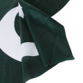 Happy Independence Pakistan Day 3 x 4.5 Feet Flag For 14th August Home School Function Office Restaurant Car Vehicle Decoration Satin Flags Event & Parties Decor Supplies 14 Aug Decorative Items & Material White & Green Pak Parcham Jhanda Jashan E Azadi. 