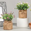 Flower Pot Easy to Care Colorfast Mini Bonsai Plant. 