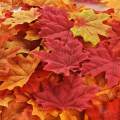 200pcs Artificial Fall Autumn Maple Leaf Silk Leaves Wedding Garden Decor. 