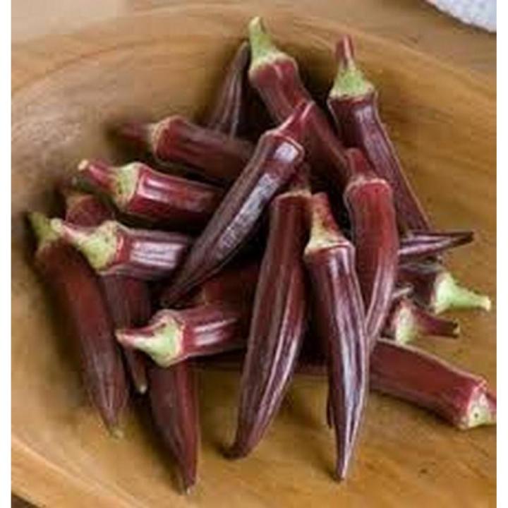 Red okra seeds (lady finger) vegetable seeds-RARE VARIETY- BY HK DEALER