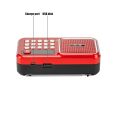 Portable Bluetooth FM Radio Speaker Mini Handheld Digital USB TF MP3 Player Support 18650 Battery 3.5mm Headphone. 
