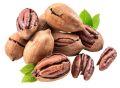 Pecan Nuts – Pecans – Pecan 1 Kg Pack – Shelled Pecans Nuts. 