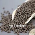 DAP Fertilizer for kitchen gardening. 