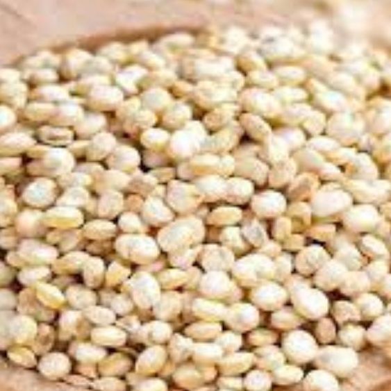 Quinoa%20Grains%20/%20Quinoa%20Seeds%20500%20gm%20(Export%20Quality)%20-%20Image%203