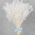 100g Dried Baby's Breath Flowers Bouquet White Dry Flowers Bulk,Real Natural Gypsophila Branches for Wedding, DIY Wreath Floral. 