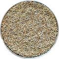 Pets Premium Pearl Millet Seeds For Small Birds (Bareek Bajra) (1 KG). 