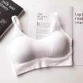 Pack of 1 Multi Colour Seamless Bra Sports Bra Beauty Back Bra Wrapped Chest No wires Padded Sports Bra. 