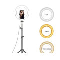 26cm Selfie Ring Light + 3.5ft  / Product details of 26cm Selfie Ring Light +7ft Tripod Stand for tiktok and youtube videos - Tiktok Ring light With Stand - Makeup7ft Tripod Stand for tiktok and youtube videos - Tiktok Ring light With Stand - Makeup light. 